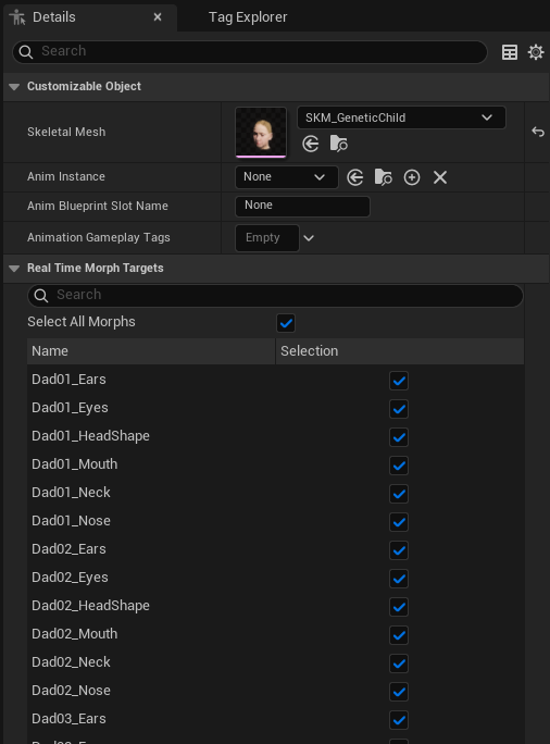 Real Time Morph Targets checkboxes in the CO_Child_Genetics details panel